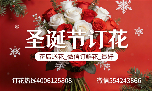 ���ݴ��ػ���
