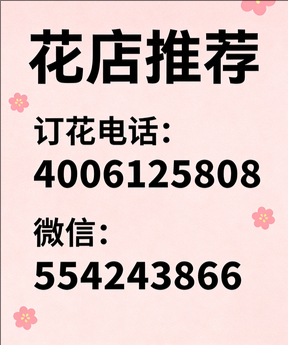 忻州代县花店哪家好