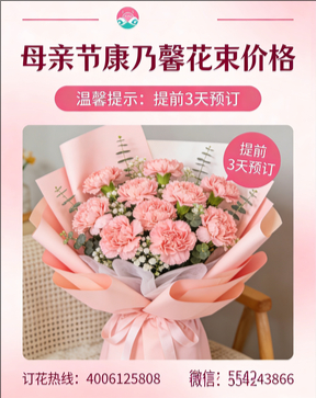忻州代县花店母亲节康乃馨花束