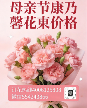 忻州代县花店母亲节康乃馨花束